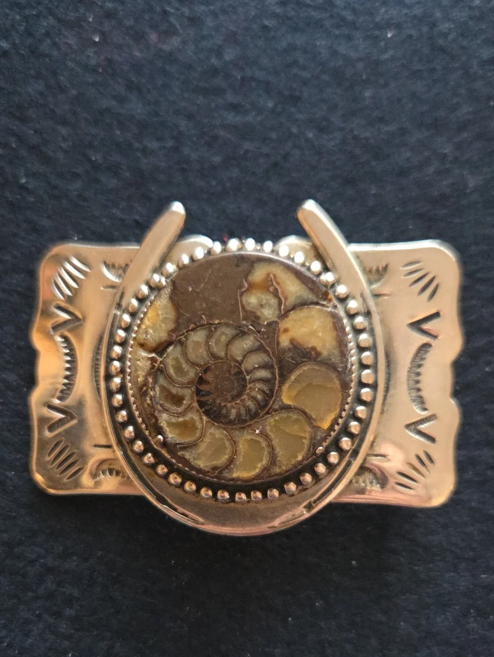 Silver-Tone Ammonite Fossil Belt Buckle in Brown